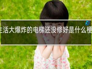 生活大爆炸的电梯还没修好是什么梗什么梗