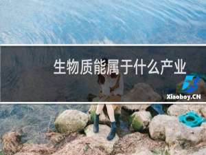 生物质能属于什么产业