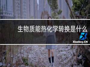 生物质能热化学转换是什么