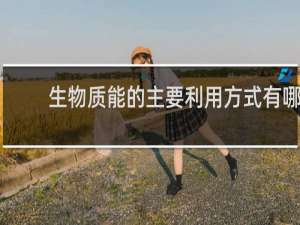 生物质能的主要利用方式有哪些?