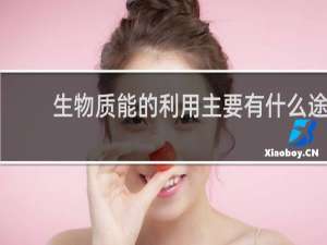 生物质能的利用主要有什么途径