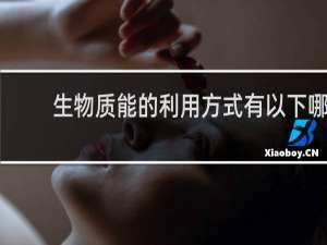 生物质能的利用方式有以下哪几种