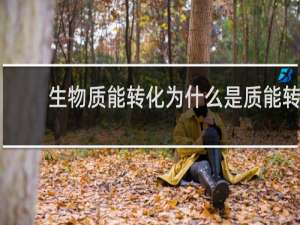 生物质能转化为什么是质能转换体系中较为成熟的过程