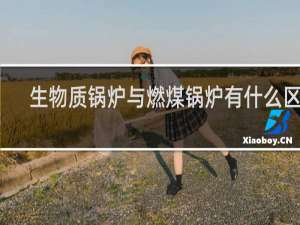 生物质锅炉与燃煤锅炉有什么区别