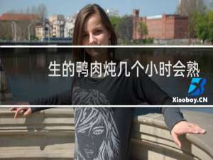 生的鸭肉炖几个小时会熟