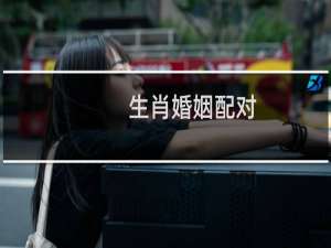 生肖婚姻配对