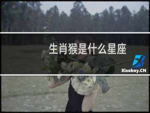 生肖猴是什么星座