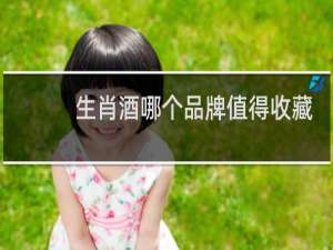 生肖酒哪个品牌值得收藏