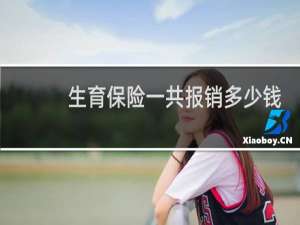 生育保险一共报销多少钱
