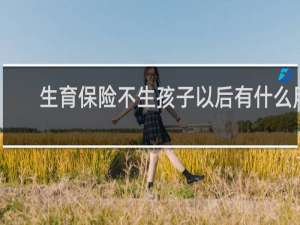 生育保险不生孩子以后有什么用