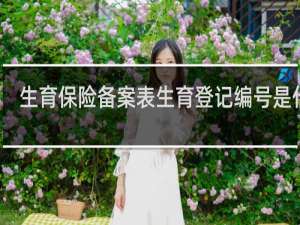 生育保险备案表生育登记编号是什么