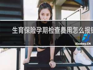 生育保险孕期检查费用怎么报销