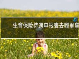 生育保险待遇申报表去哪里拿