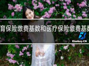 生育保险缴费基数和医疗保险缴费基数一样吗