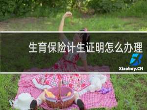 生育保险计生证明怎么办理