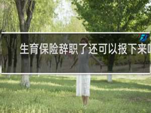 生育保险辞职了还可以报下来吗