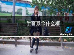 生育基金什么梗