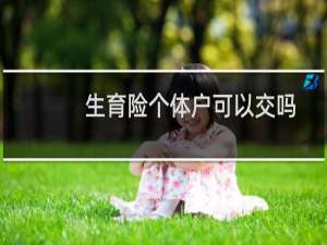 生育险个体户可以交吗