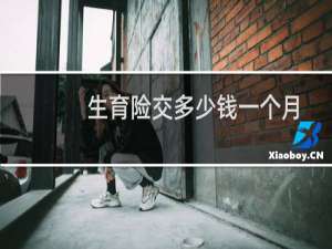 生育险交多少钱一个月