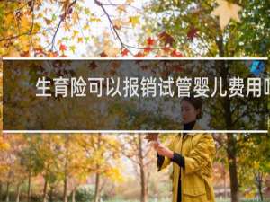 生育险可以报销试管婴儿费用吗