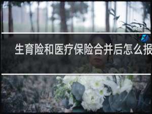生育险和医疗保险合并后怎么报销