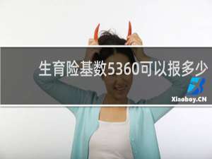 生育险基数5360可以报多少