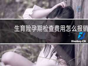 生育险孕期检查费用怎么报销