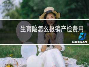 生育险怎么报销产检费用