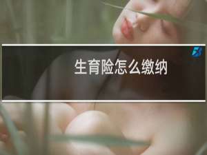 生育险怎么缴纳