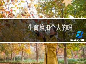 生育险扣个人的吗