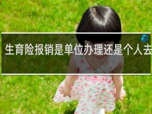 生育险报销是单位办理还是个人去办理