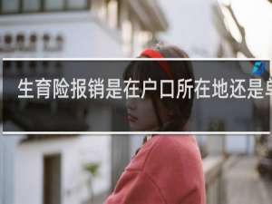 生育险报销是在户口所在地还是单位