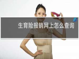 生育险报销网上怎么查询