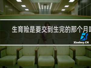 生育险是要交到生完的那个月吗