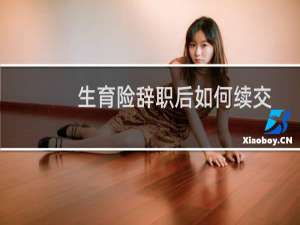 生育险辞职后如何续交