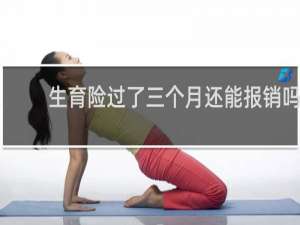 生育险过了三个月还能报销吗