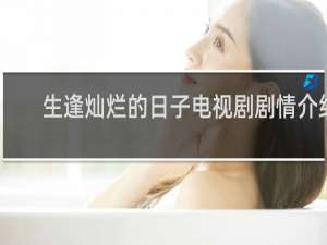 生逢灿烂的日子电视剧剧情介绍