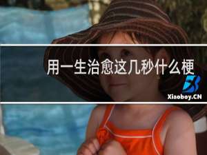 用一生治愈这几秒什么梗