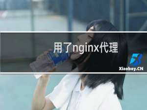 用了nginx代理，上传文件大小被限制了