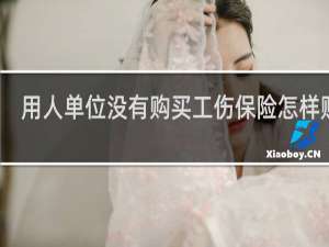 用人单位没有购买工伤保险怎样赔偿