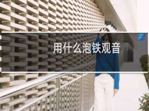用什么泡铁观音
