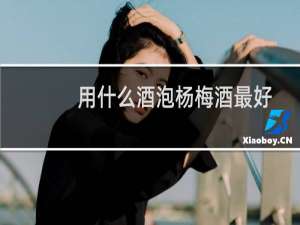 用什么酒泡杨梅酒最好