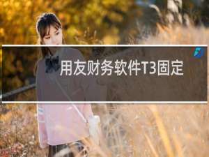 用友财务软件T3固定资产变卖减少的处理教程图解