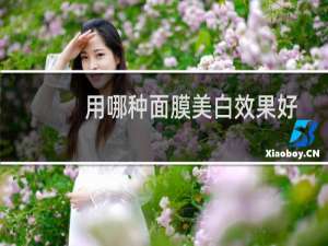 用哪种面膜美白效果好