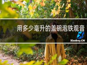 用多少毫升的盖碗泡铁观音