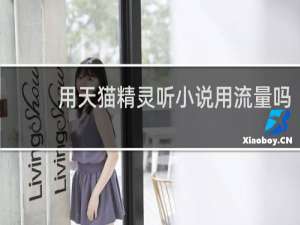 用天貓精靈聽小說用流量嗎