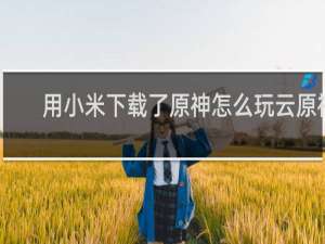 用小米下载了原神怎么玩云原神