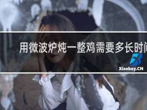 用微波炉炖一整鸡需要多长时间