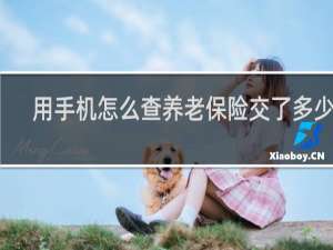 用手机怎么查养老保险交了多少年