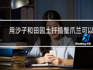 用沙子和田园土扦插蟹爪兰可以吗